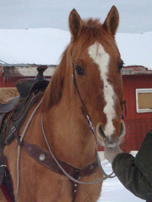 dunnyface2012.jpg